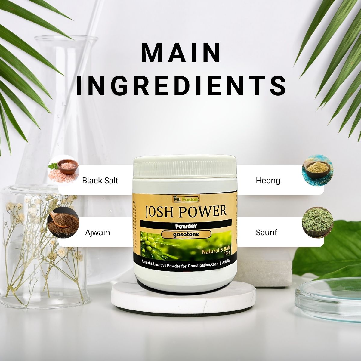 Fit Fusion Ayurveda Josh Power Gasotone Powder 100g - View 4