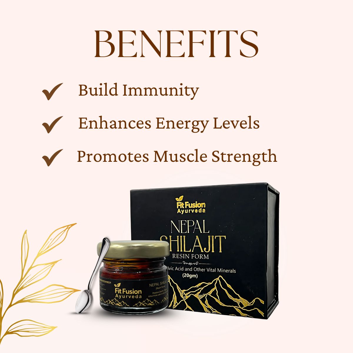 Fit Fusion Ayurveda Himalayan Shilajit Resin 20g - View 2